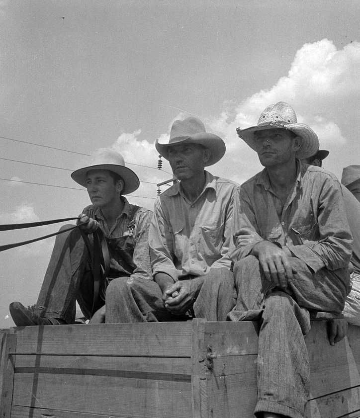 Arkansas sharecroppers going home from cotton fields near Bytheville, Arkansas Photo: Dorothea Lange