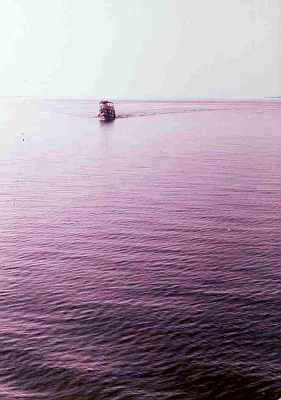Amazon River Sea Brazil Uys