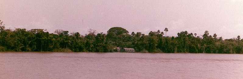 Amazon River Bank Brazil Uys