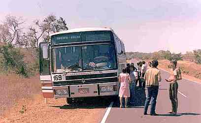 Recife to Belem Bus 