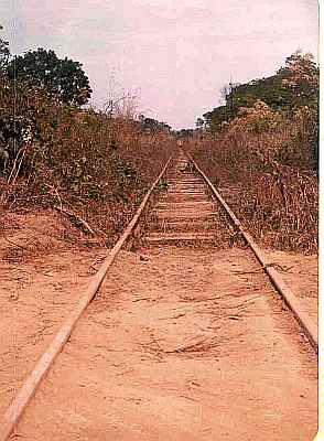 Madeira Mamore Railbed Brazil Uys