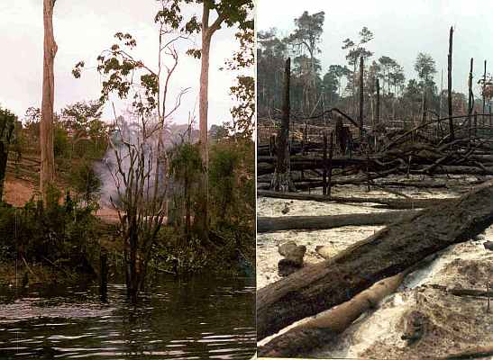 Amazon Forest Burning Brazil Uys