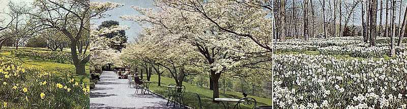 Reader's Digest grounds