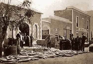 Street sale of ivory 1870 William Roe from www.grraaffreinet.co.za