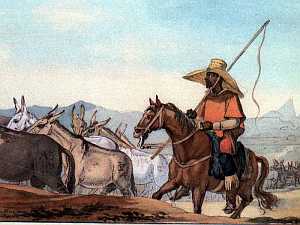 Tropeiro, Brazilian muleteer, Jean-Baptiste Debret [29]