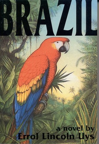 Brazil, a novel by Errol Lincoln Uys