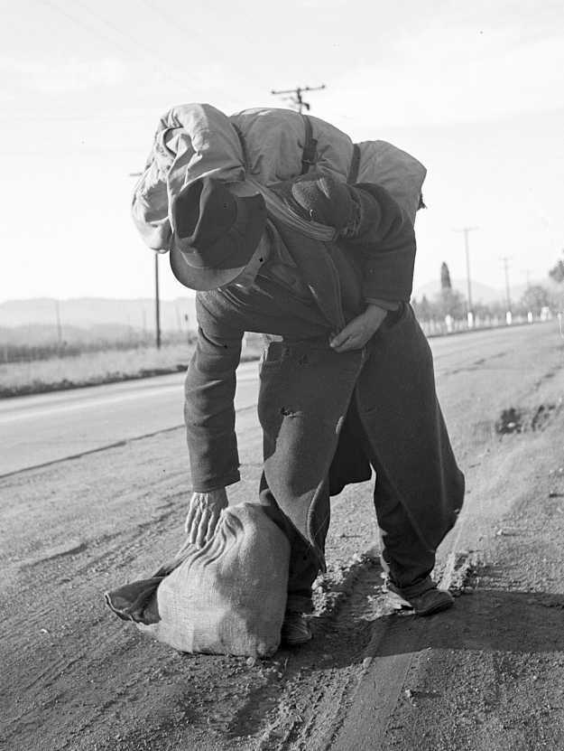 Napa Valley, California. More than twenty-five years a bindlestiff.   Photo: Dorothea Lange
