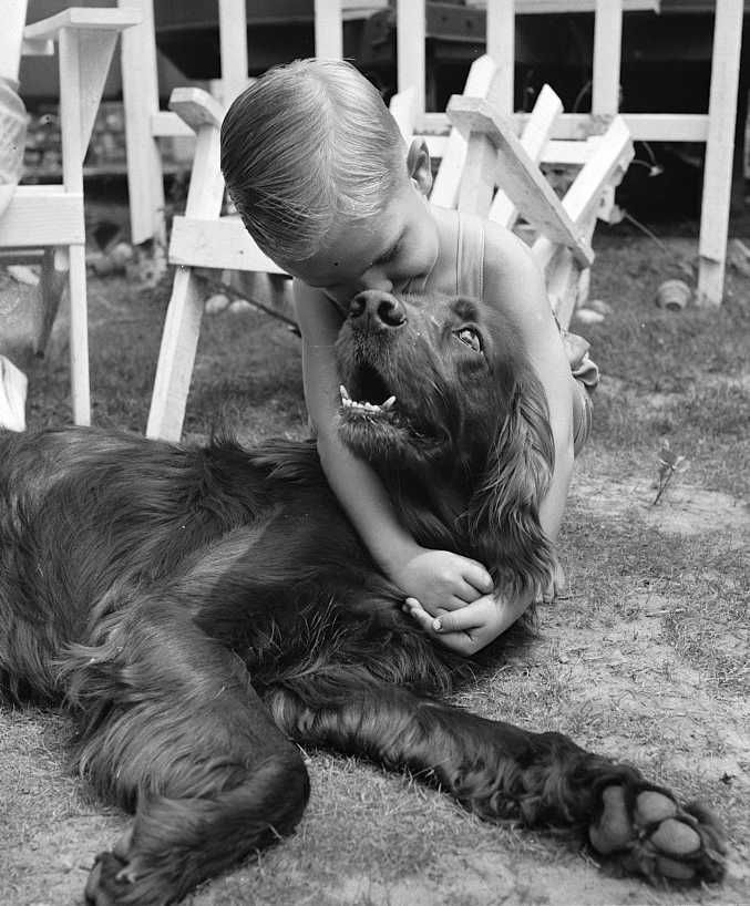 A boy and his dog  Photo: John Collier