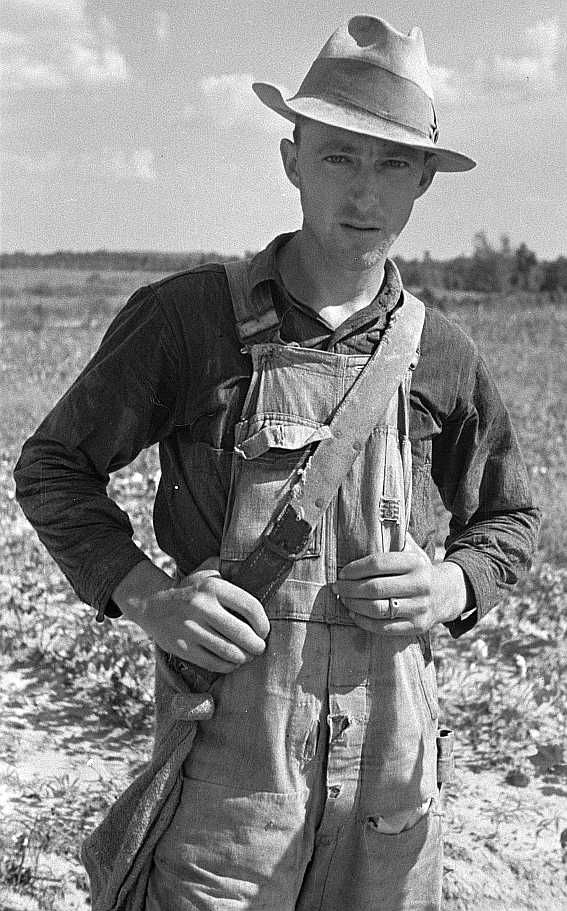 Cotton picker, Lauderdale County, Mississippi Photo: Arthur Rothstein