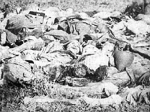 War of the Triple Alliance, Paraguay, battlefield dead [38]