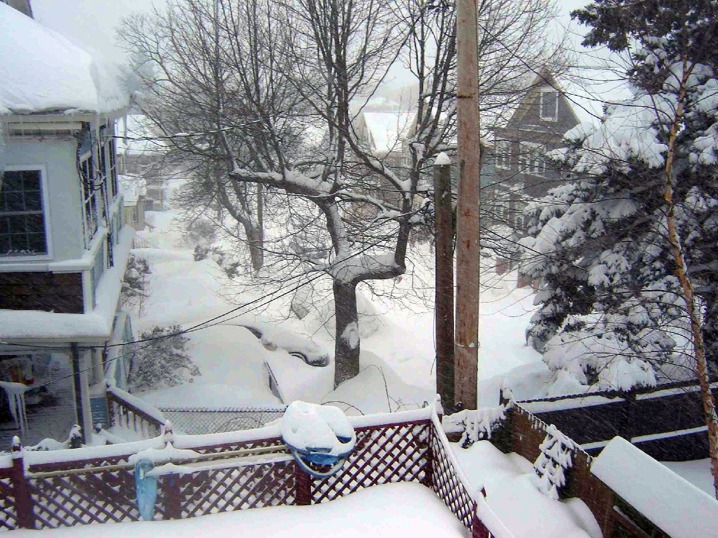 Peabody Slope, Dorchester - Blizzard 2015