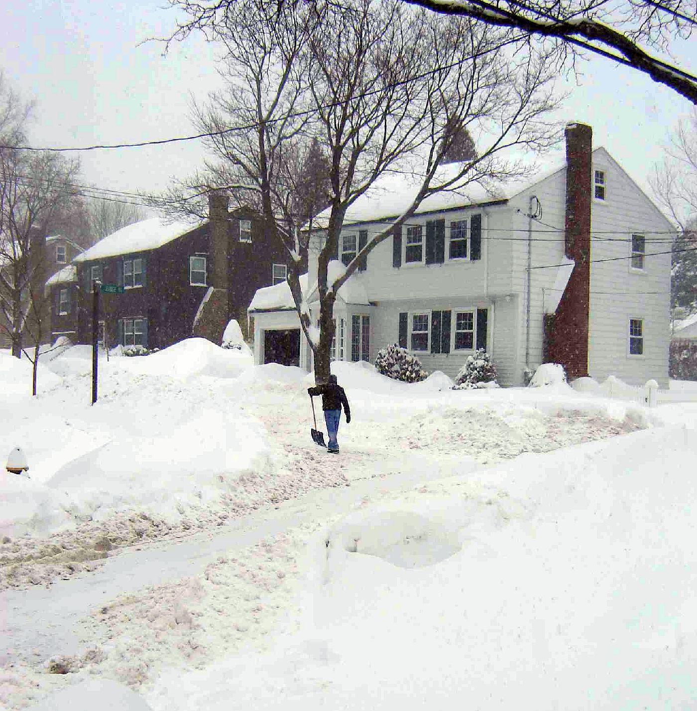 Peabody Slope, Dorchester - Blizzard 2015