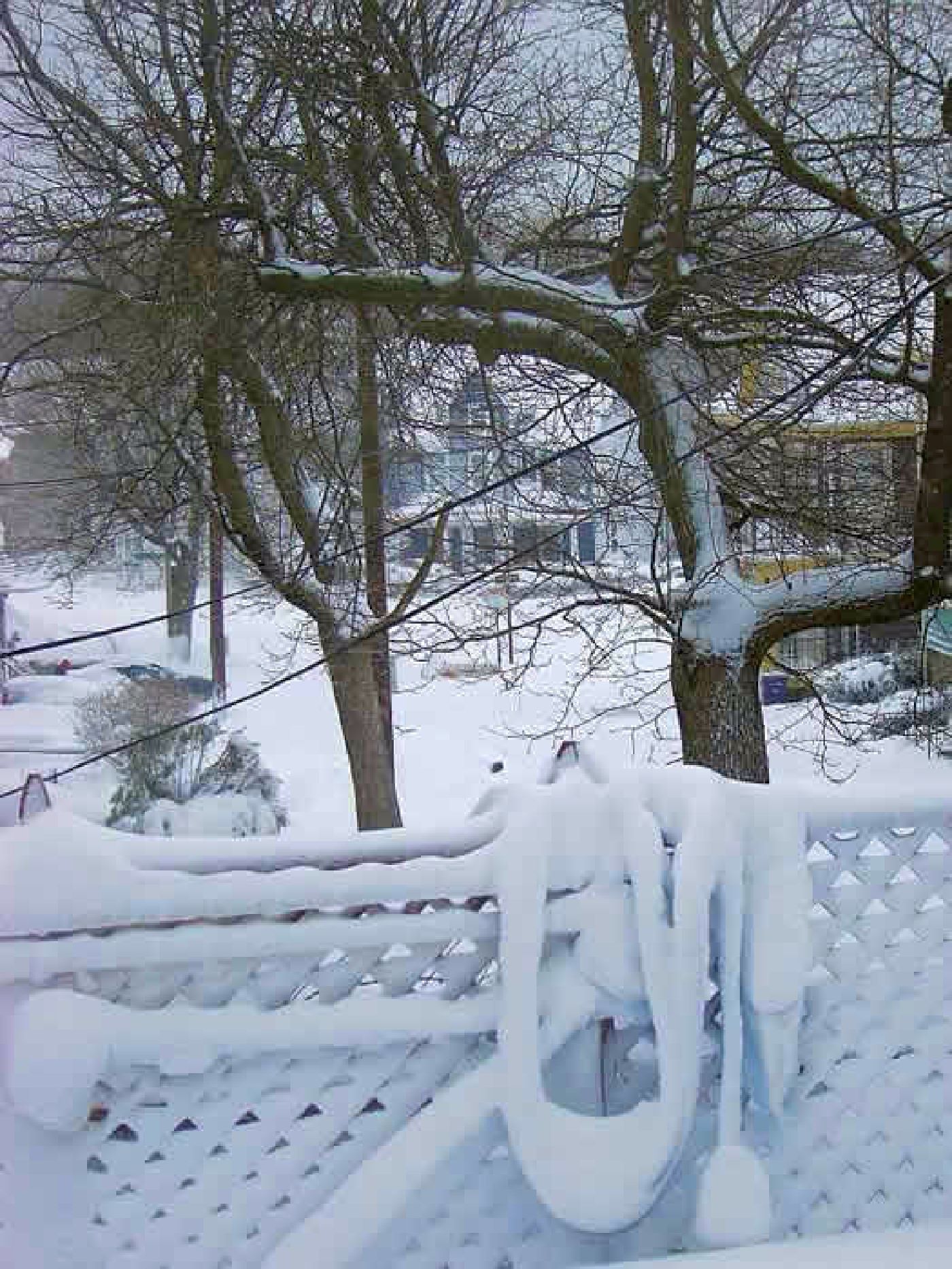 Peabody Slope, Dorchester - Blizzard 2013