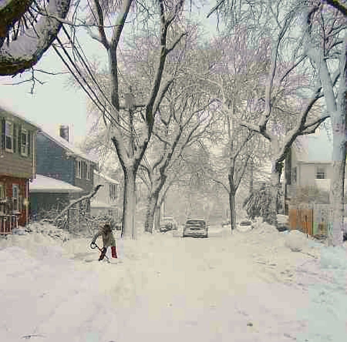 Peabody Slope, Dorchester - Blizzard 2011